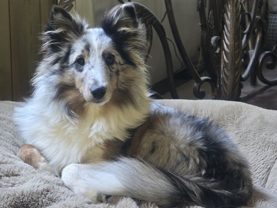 Skyla - aka Sky
